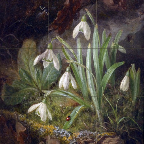 Snowdrops flowers tile mural - snowdrops,